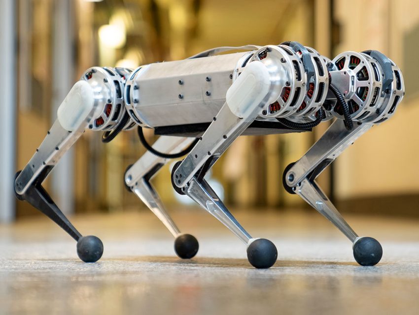 Sevimli ve Yetenekli Mini Çita Robotları! [ Video ]