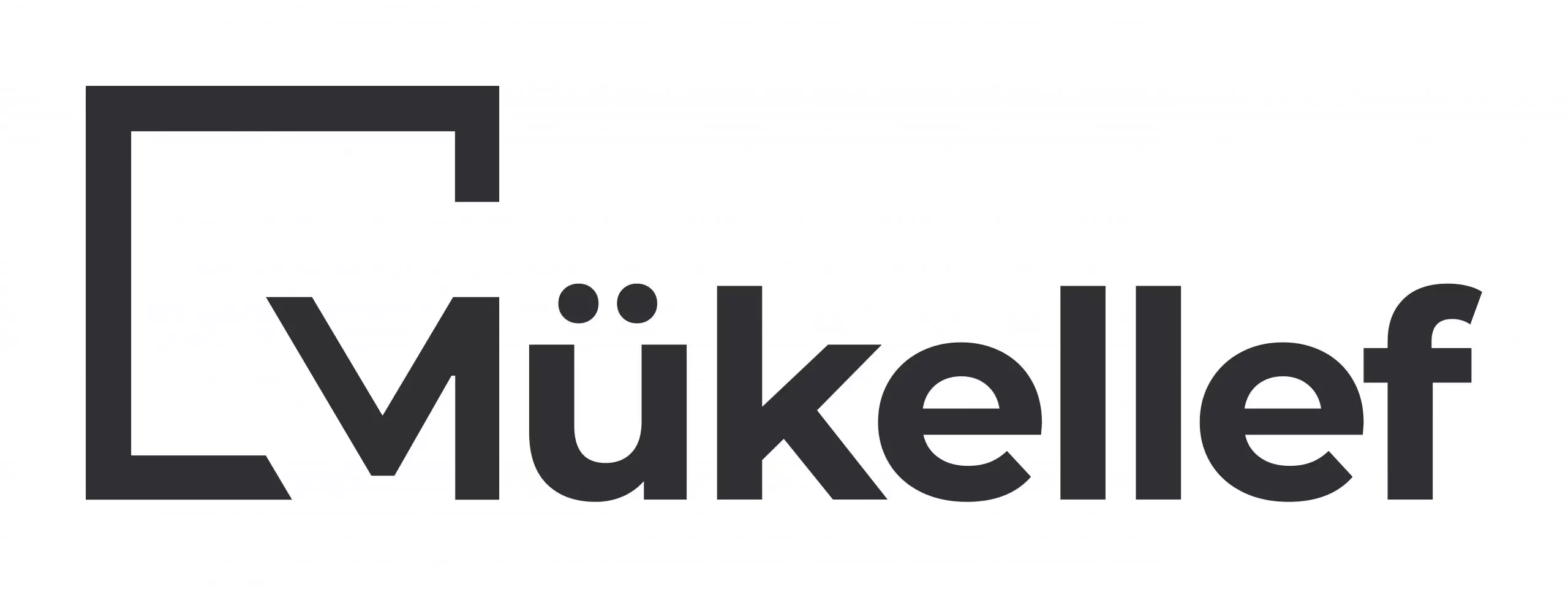 Mükellef ile ABD' de Şirket kurmak