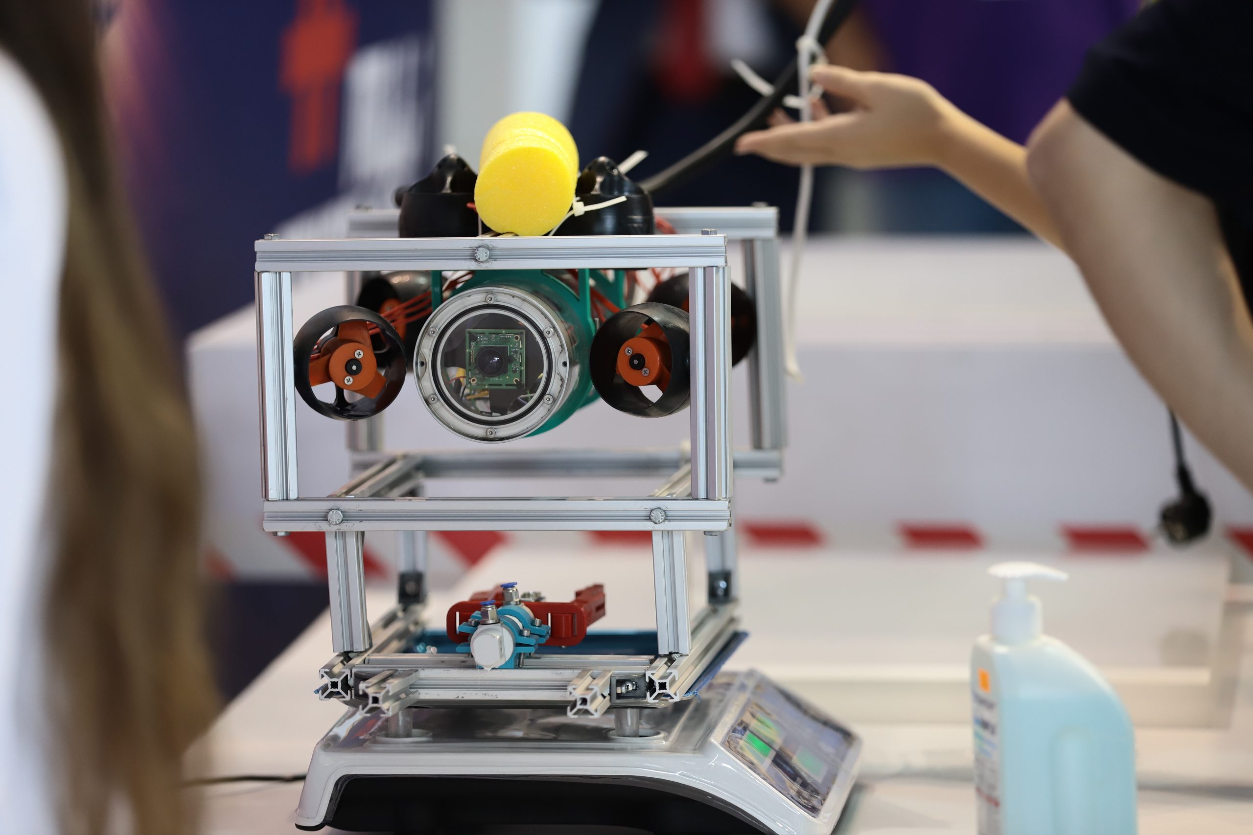 1631864598 IMG 1692 1 scaled