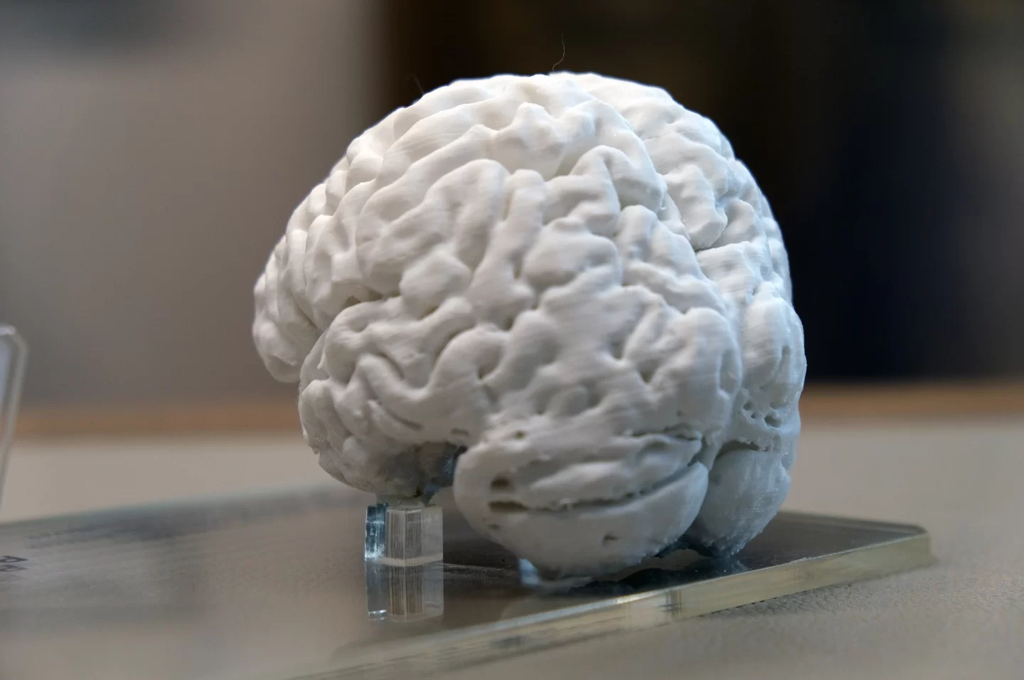 Türkiye’de İlk Kez Bir İnsan Beyninin 3D Kopyası Yapıldı