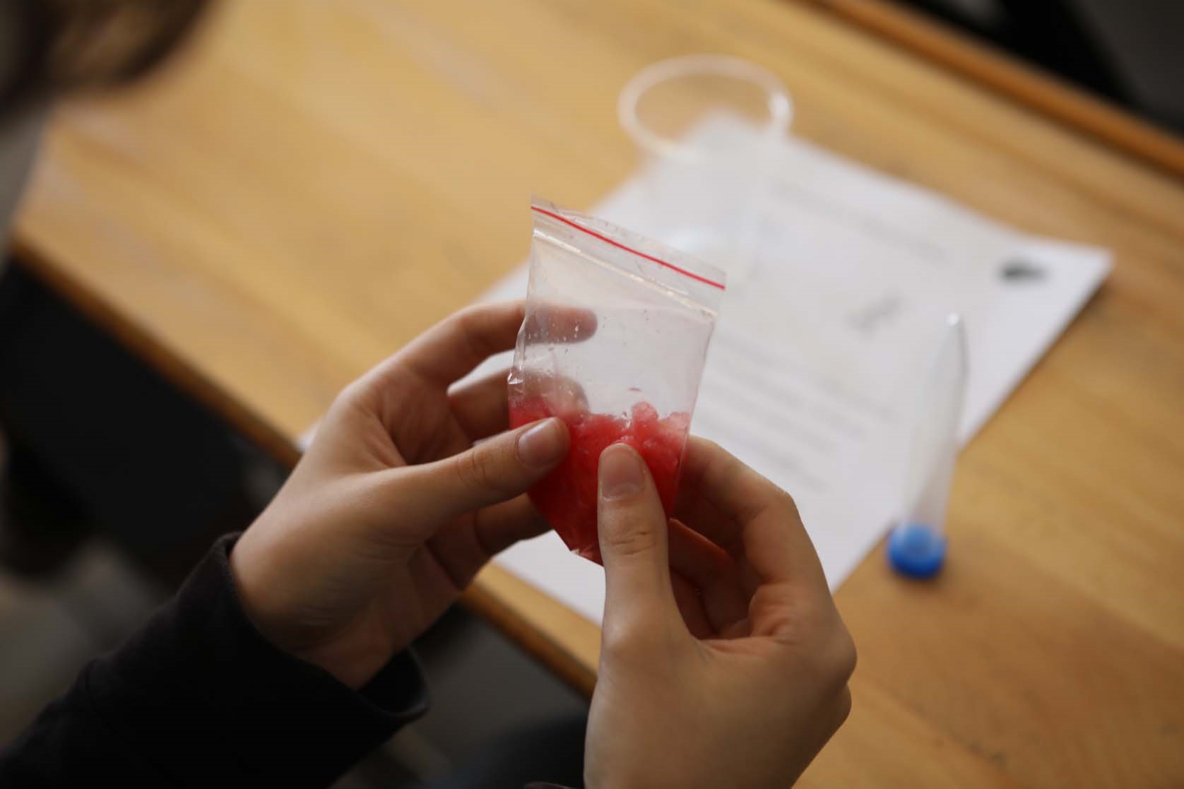 1642489891 3.deney 3