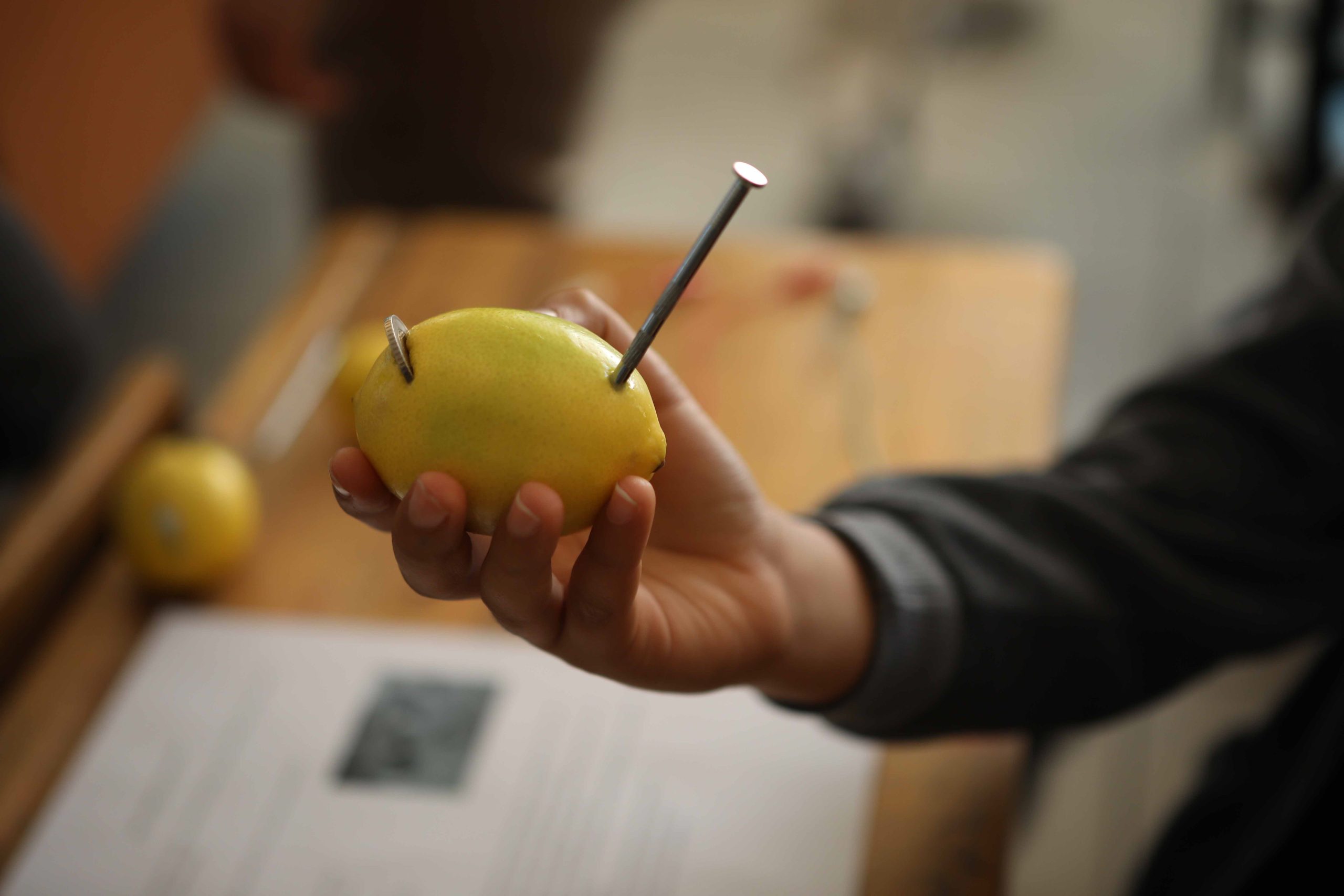 1642489894 5.deney 2 scaled