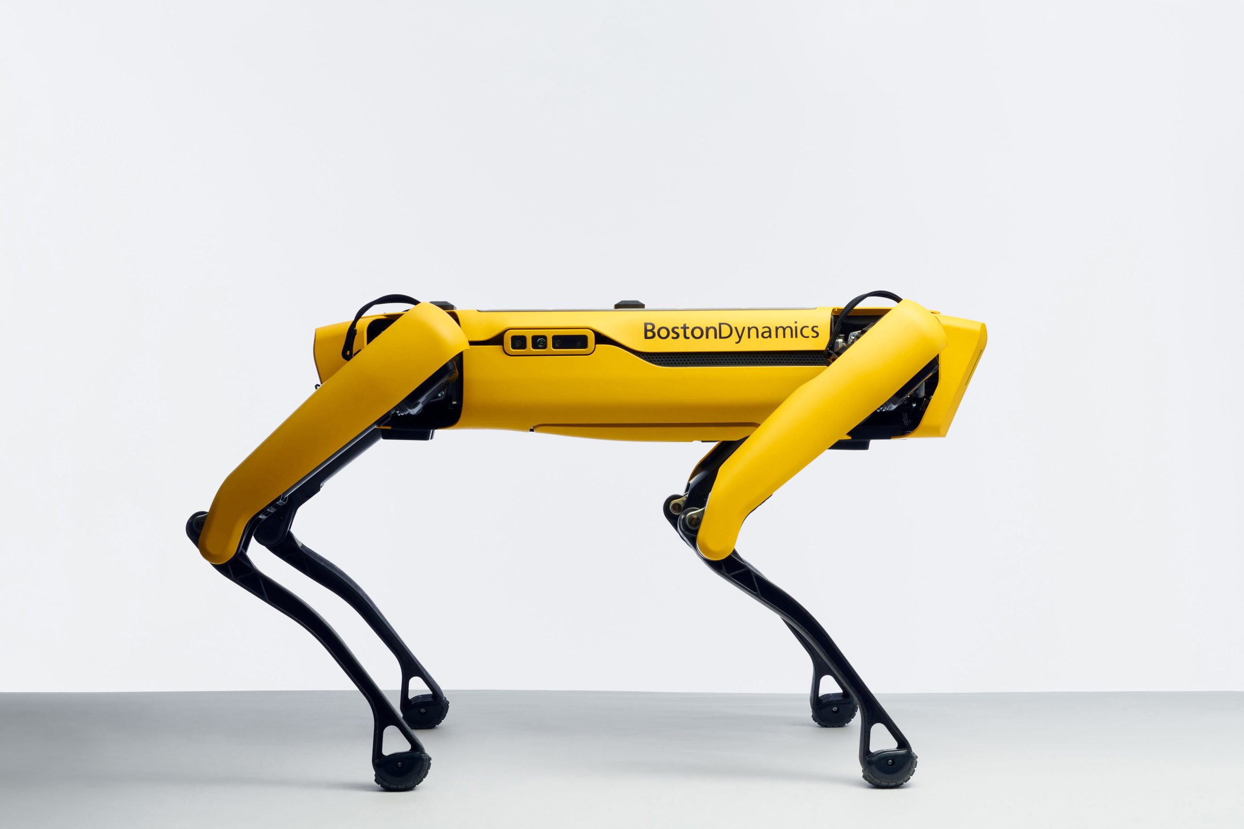 İTÜ Robot (İTÜRO) Olimpiyatlarında Boston Dynamics Spot köpek de olacak.