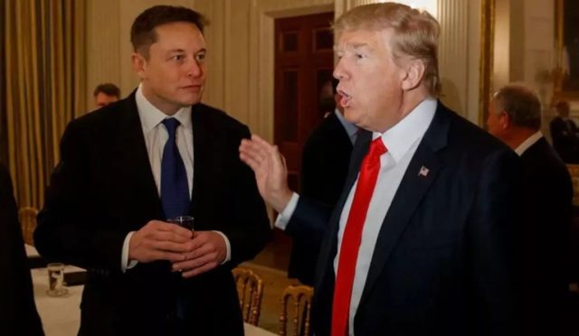elon musk trump