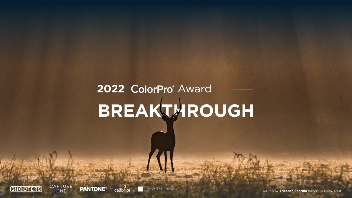 Global fotoğraf yarışması ColorPro Award 2022 başlıyor