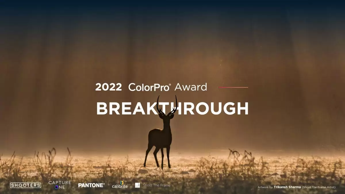Global fotoğraf yarışması ColorPro Award 2022 başlıyor