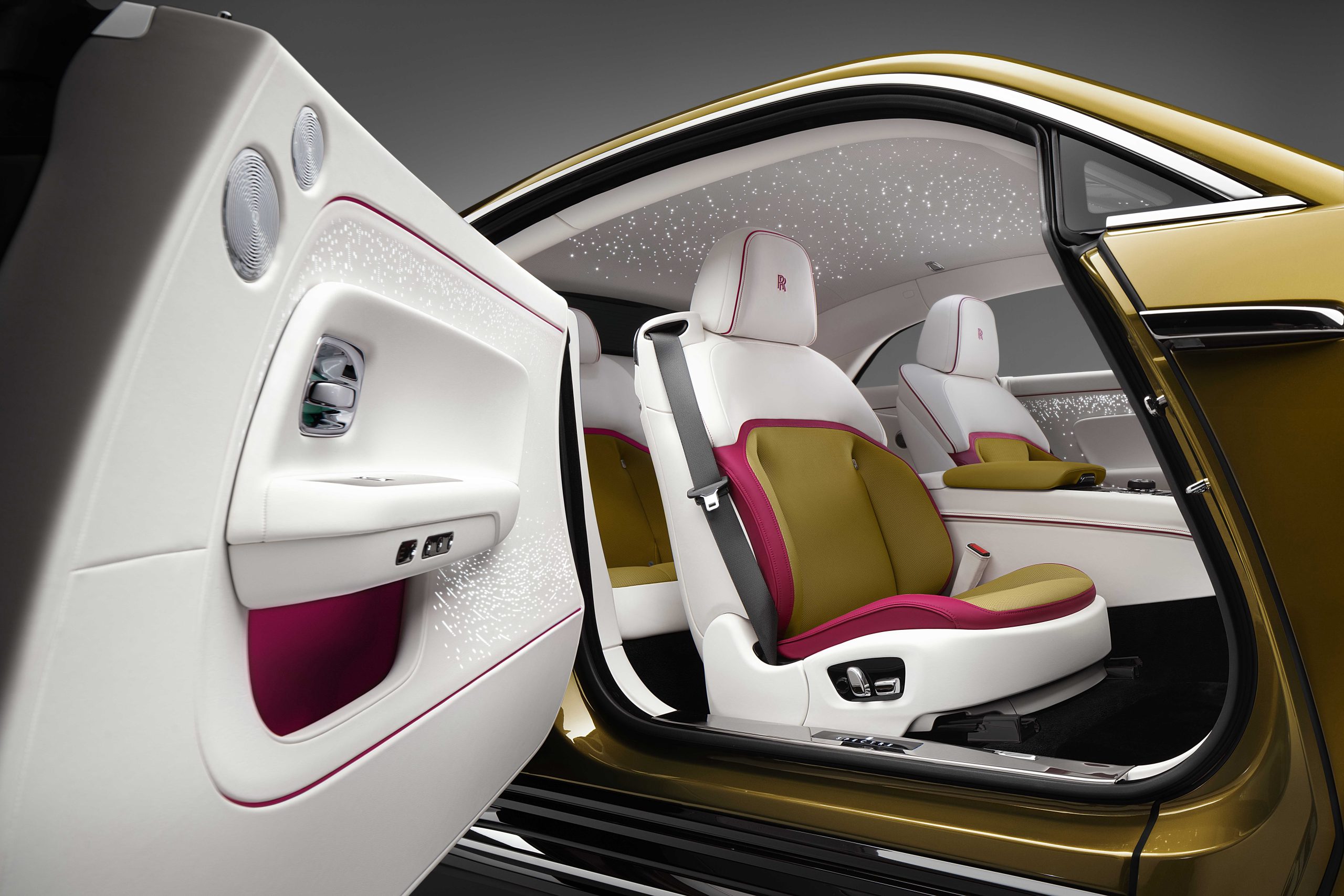 ROLLS-ROYCE SPECTRE kapı içi