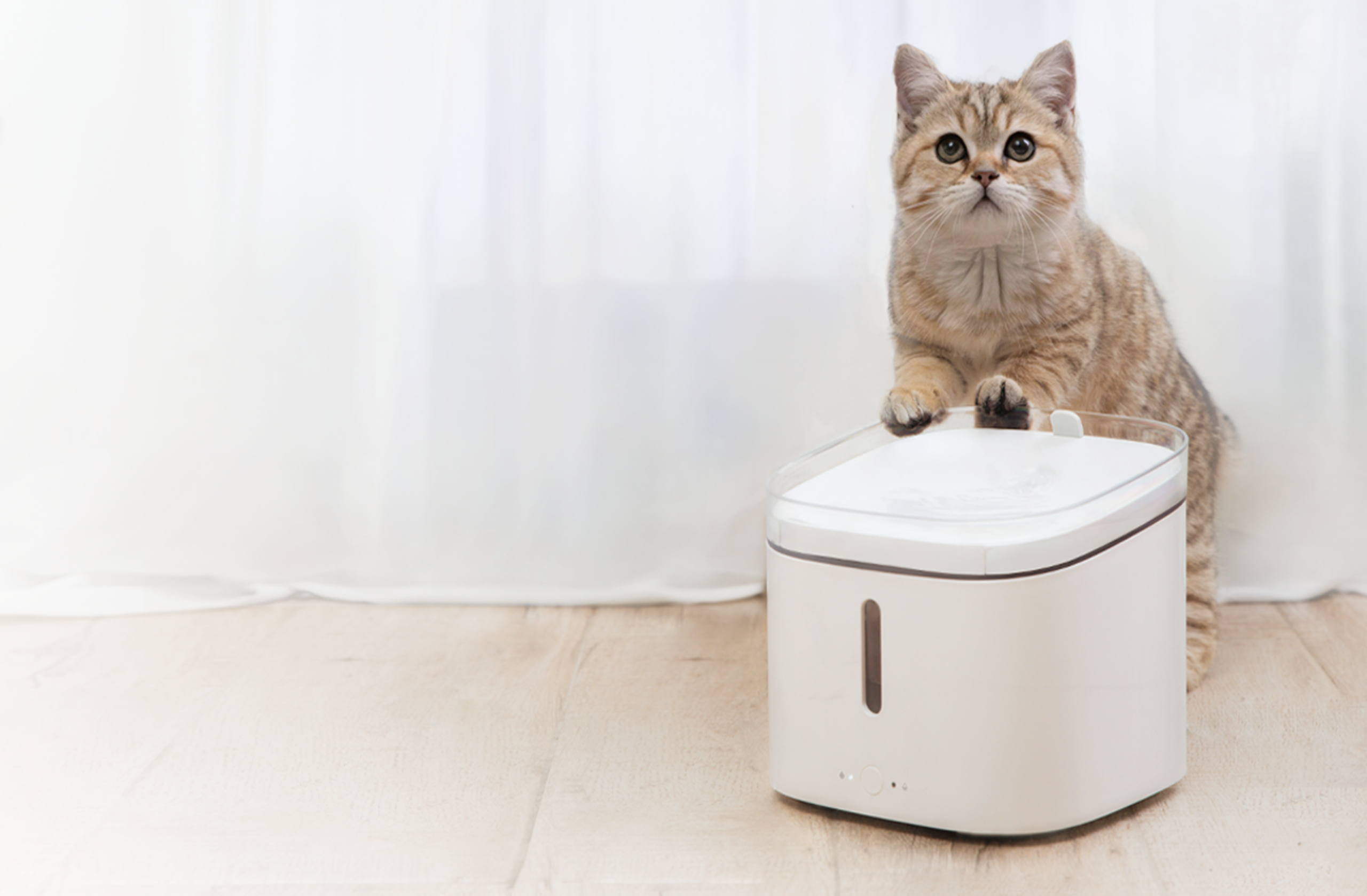 1666255318 Xiaomi Smart Pet Fountain