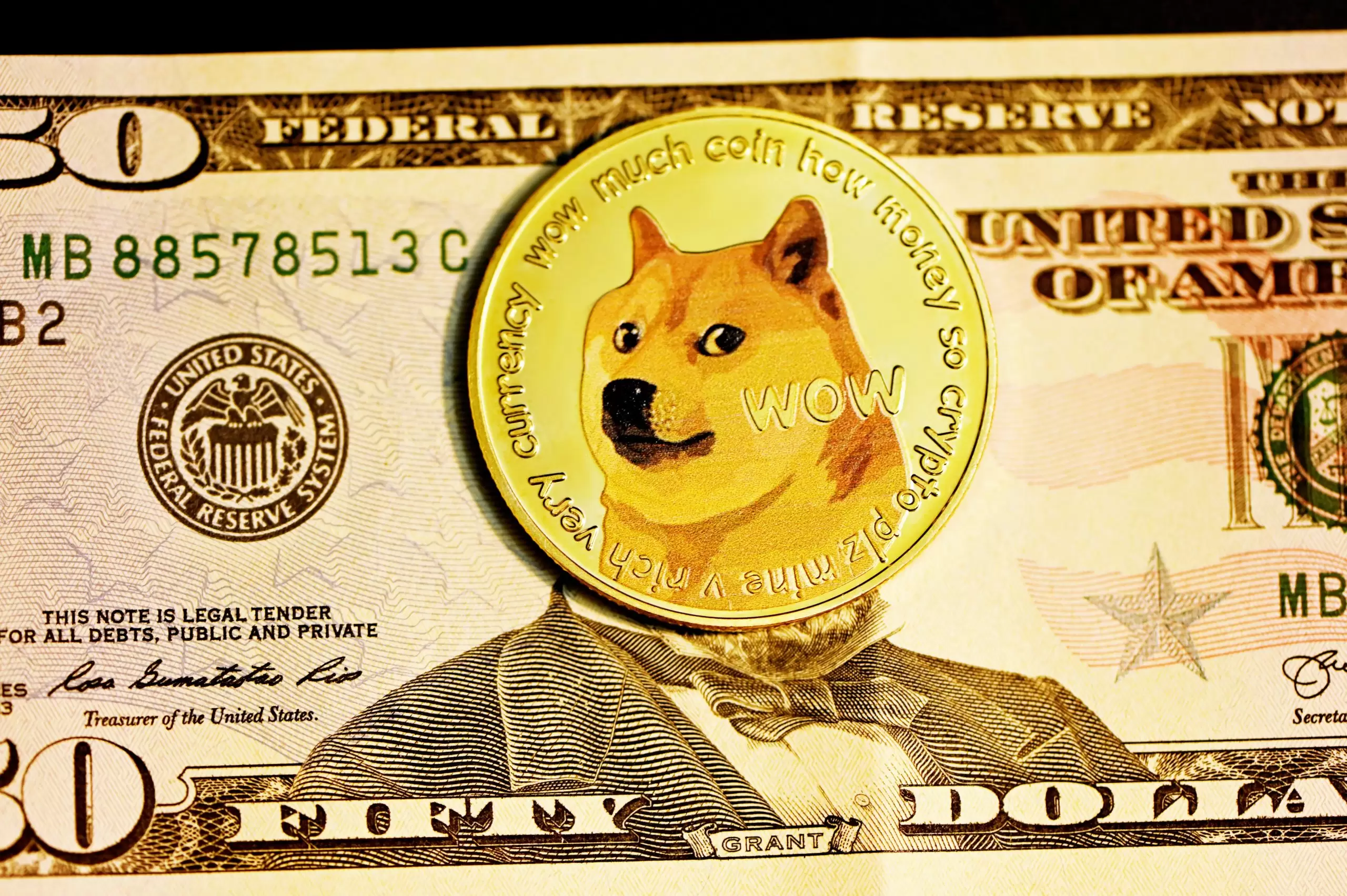 Dogecoin, Twitter Anlaşması Sonrası Dalgalanıyor