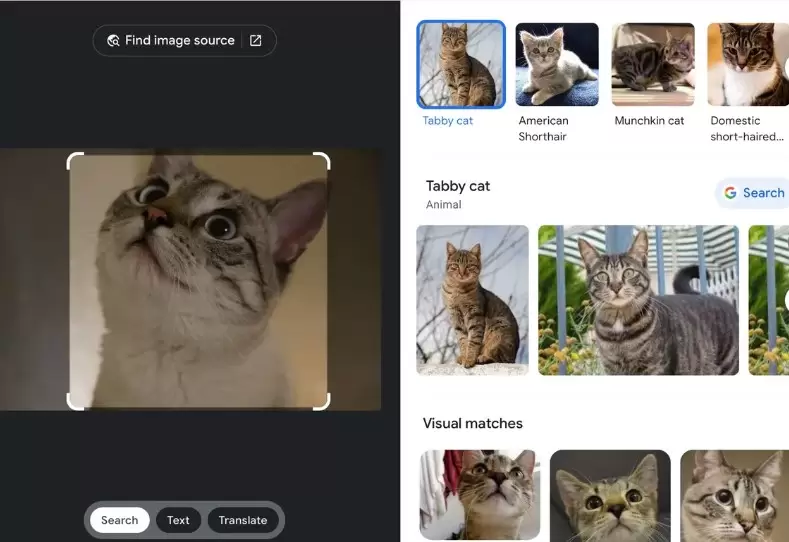 Google Lens artık Google Arama sayfasında