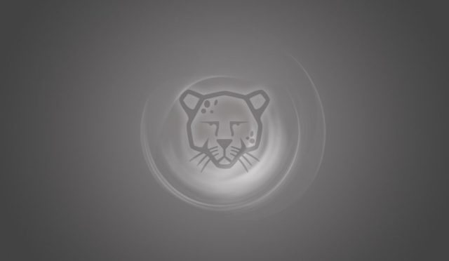 wallpaper_grey_genis-1024x768-1024x768