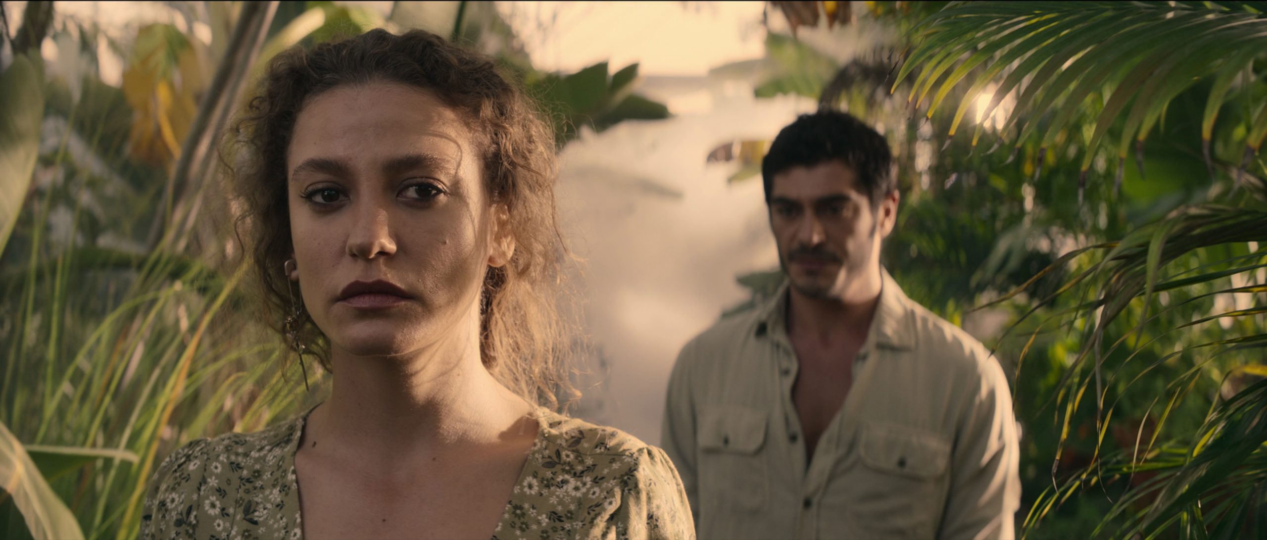 1671987233 Sahmaran1 scaled