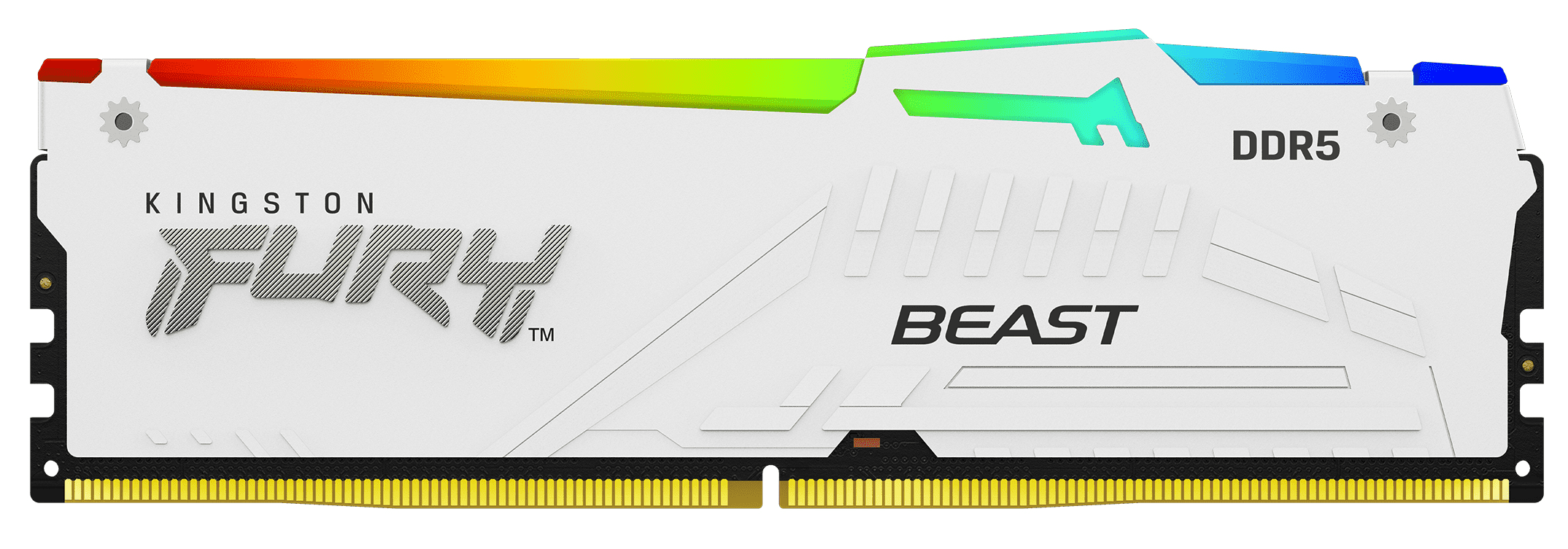 1680170971 KF Beast DDR5 RGB White HS