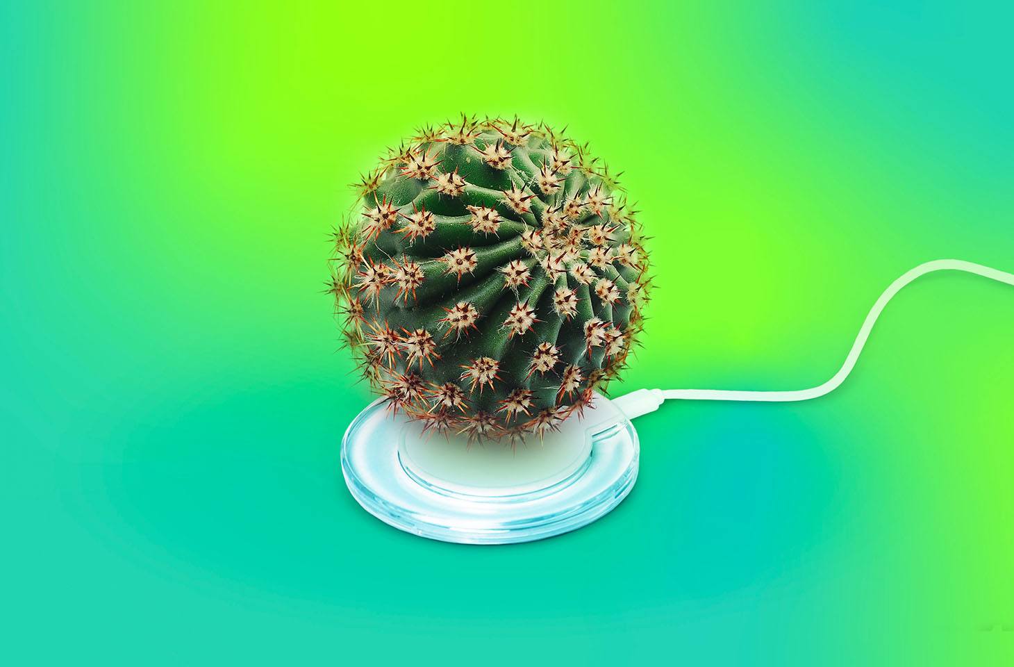 1684999748_25.05_Kaspersky_G__rsel