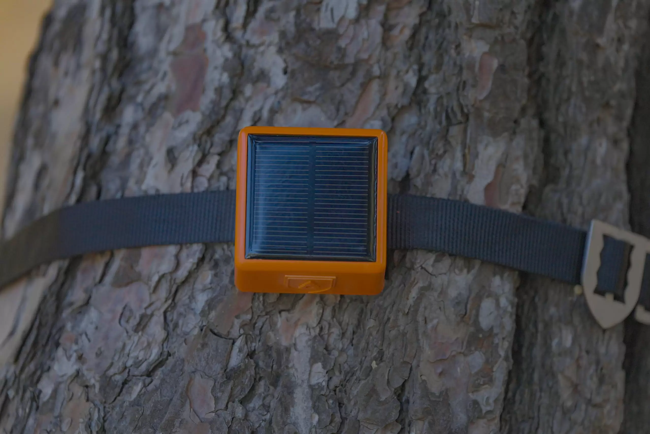James Dyson Ödülü’nün Kazananı “ForestGuard2.0”