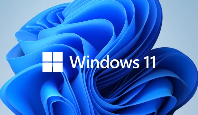 Windows 11’e Gelişmiş Windows Ayarları Paneli Geliyor!