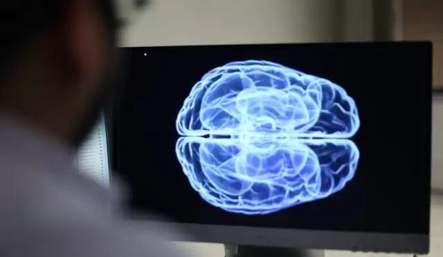 1707120085_YAZILIM_M__HEND__SL______