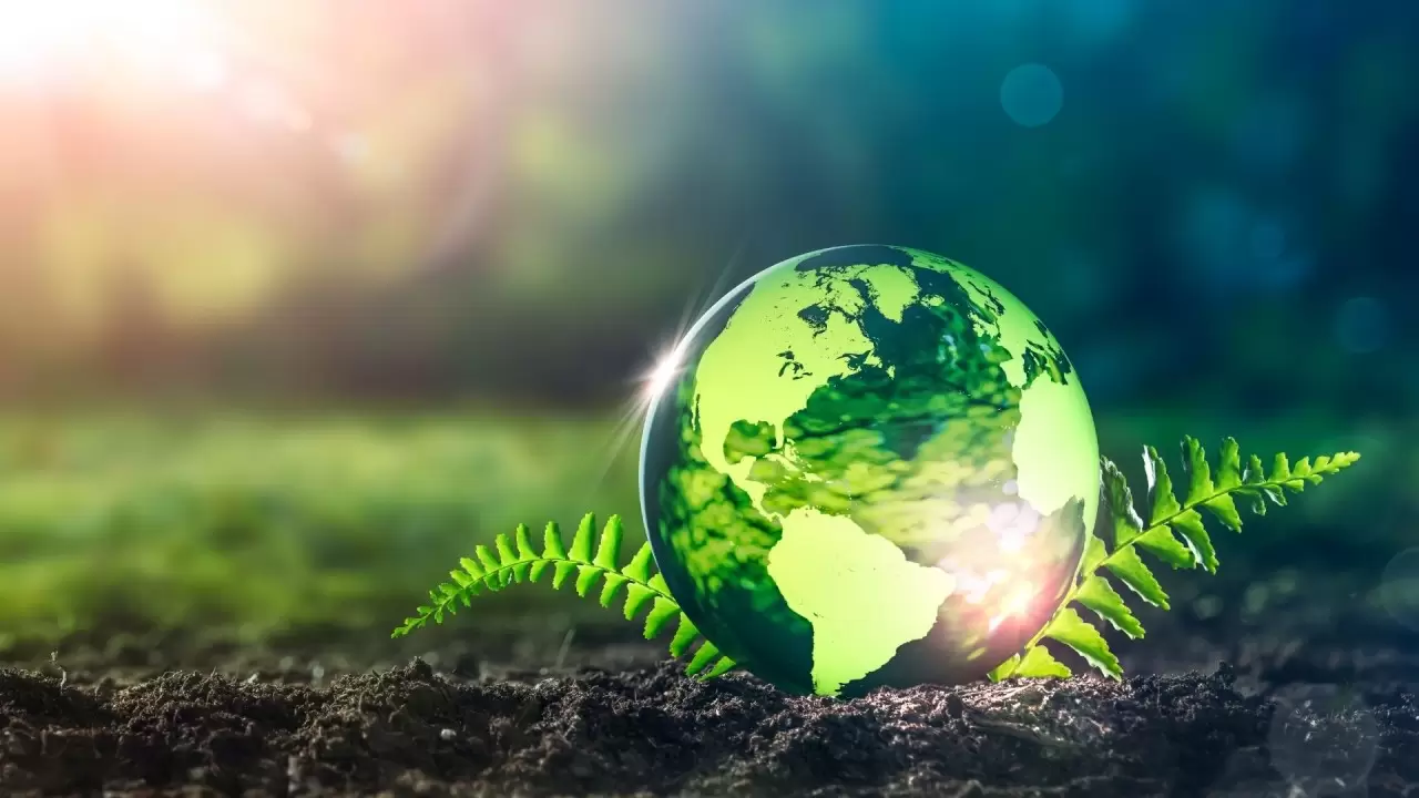 Biyoçeşitlilik Koruması İçin Yenilikçi Teknoloji Çözümleri: Doğayı Geleceğe Taşımak