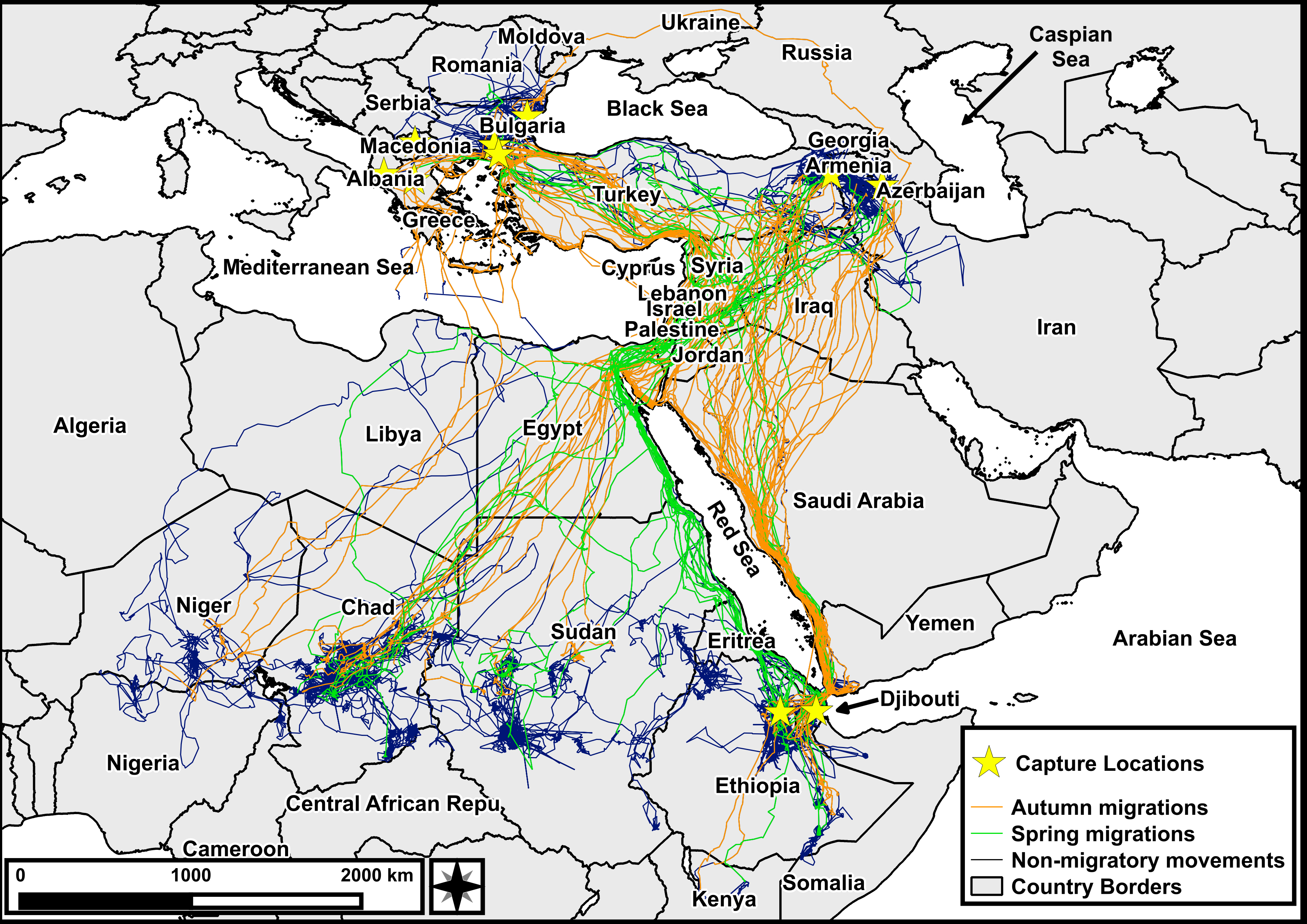 biyoçeşitlilik, bird migration on gps