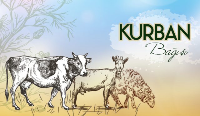 responseve-slider-kurban