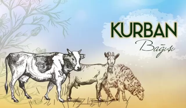 Kurban Bağışı Nasıl Yapılır? En Güvenli Kurban Bağış Kurumlar 2024