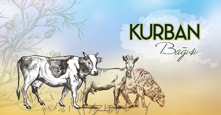 responseve-slider-kurban