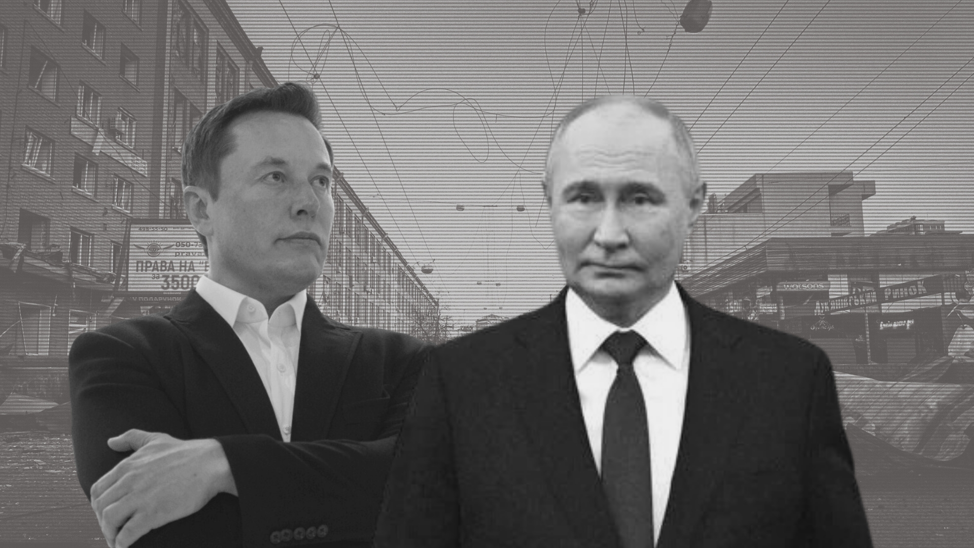elon-putin