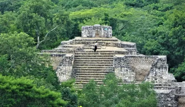 maya-yerlesimi-bulundu