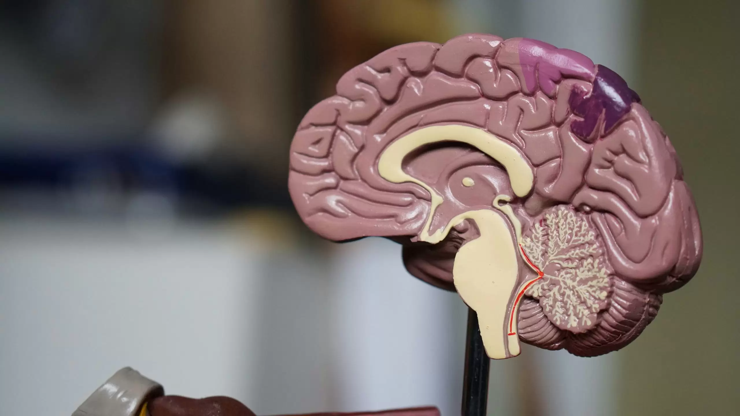 Alzheimer'a Umut Doğdu! Bilim İnsanları Hastalığı Geciktirmenin Yollarını Buldu Mu?