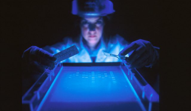 national-cancer-institute-tV-RX0beDp8-unsplash