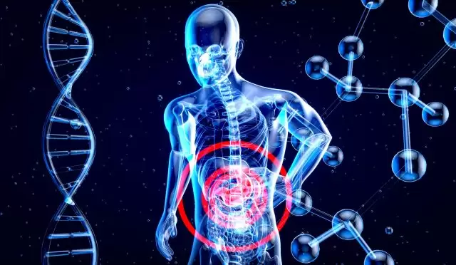 Yeni Keşfedilen Molekül Bağırsak Hasarını Onarıyor ve Kanseri Baskılıyor