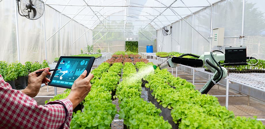 smart farming agriculture du futur iot