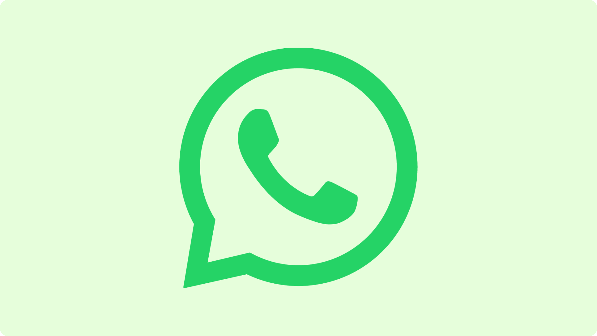 whatsapp bize ulasin