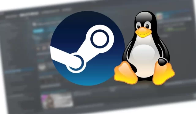 2025’te Linux Üzerine Steam Nasıl İndirilir?
