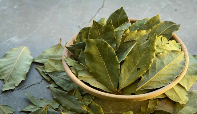 Bay,Leaves,In,A,Clay,Dish,On,A,Concrete,Worktop