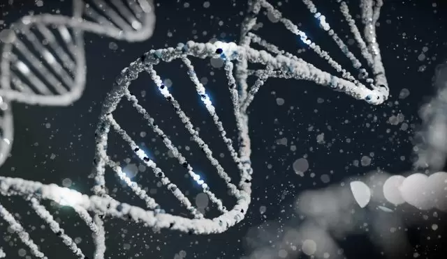 DNA Testleri İki Kişinin Akraba Olduğunu Nasıl Belirler?