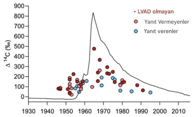 kalp istatistik ceviir