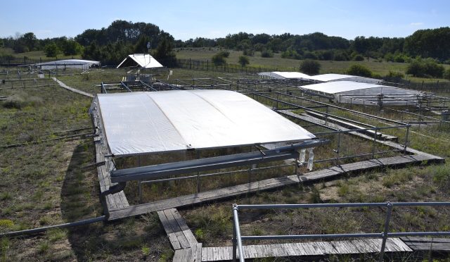 new-study-reveals-how-4