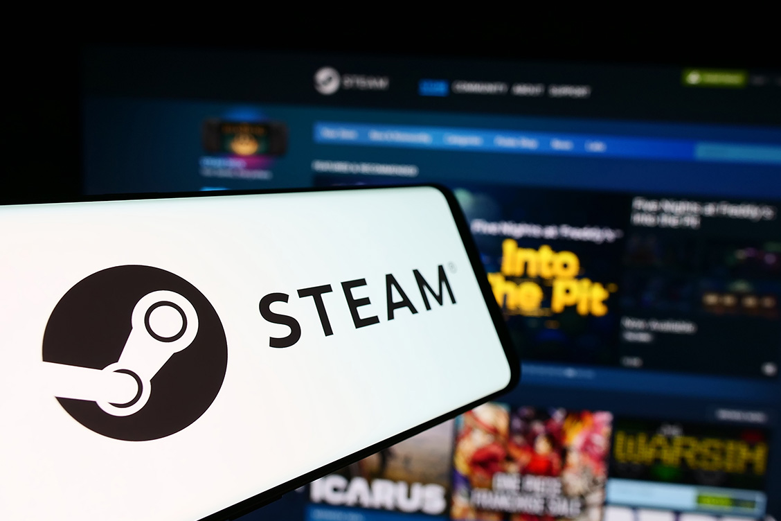 steam ne kadar harcadim 2