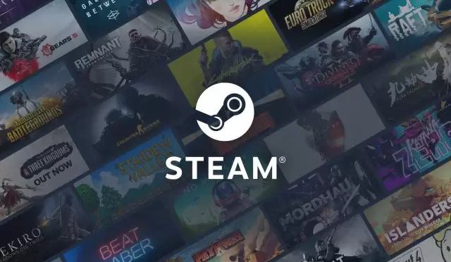 steam-ne-kadar-harcadim