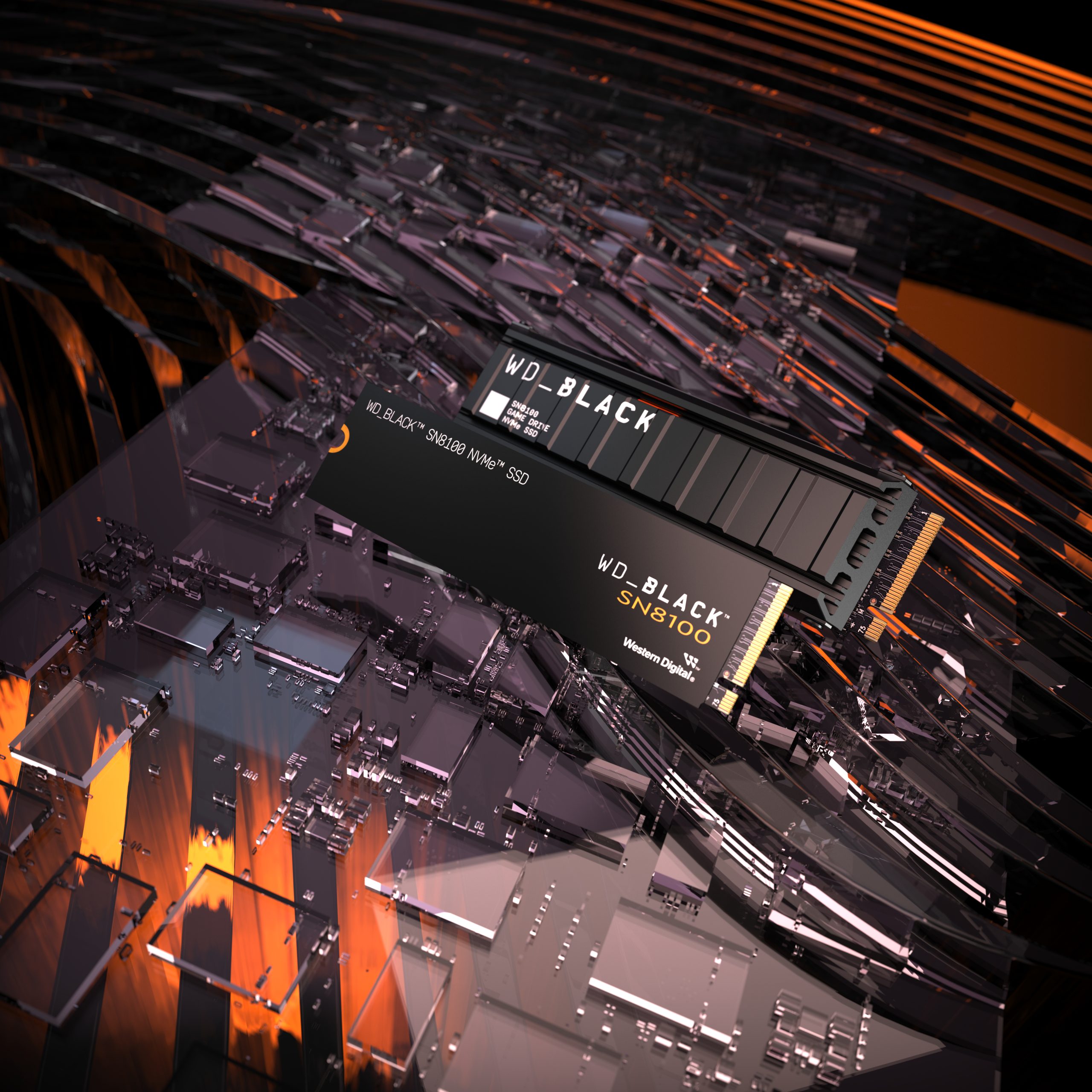 Sandisk-WD_BLACK-SN8100 (1)