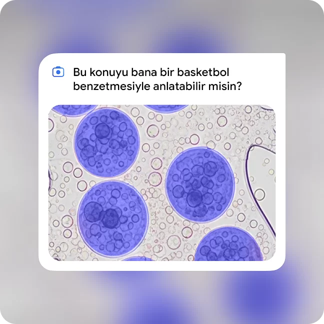 gemini universite ogrencilerine ucretsiz 3