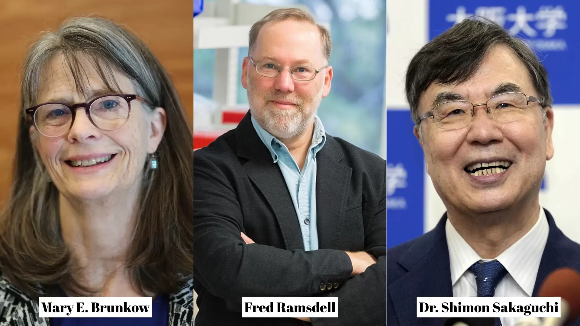 nobel kazanan isimler maryebrunkow fredramsdell shimosakaguchi