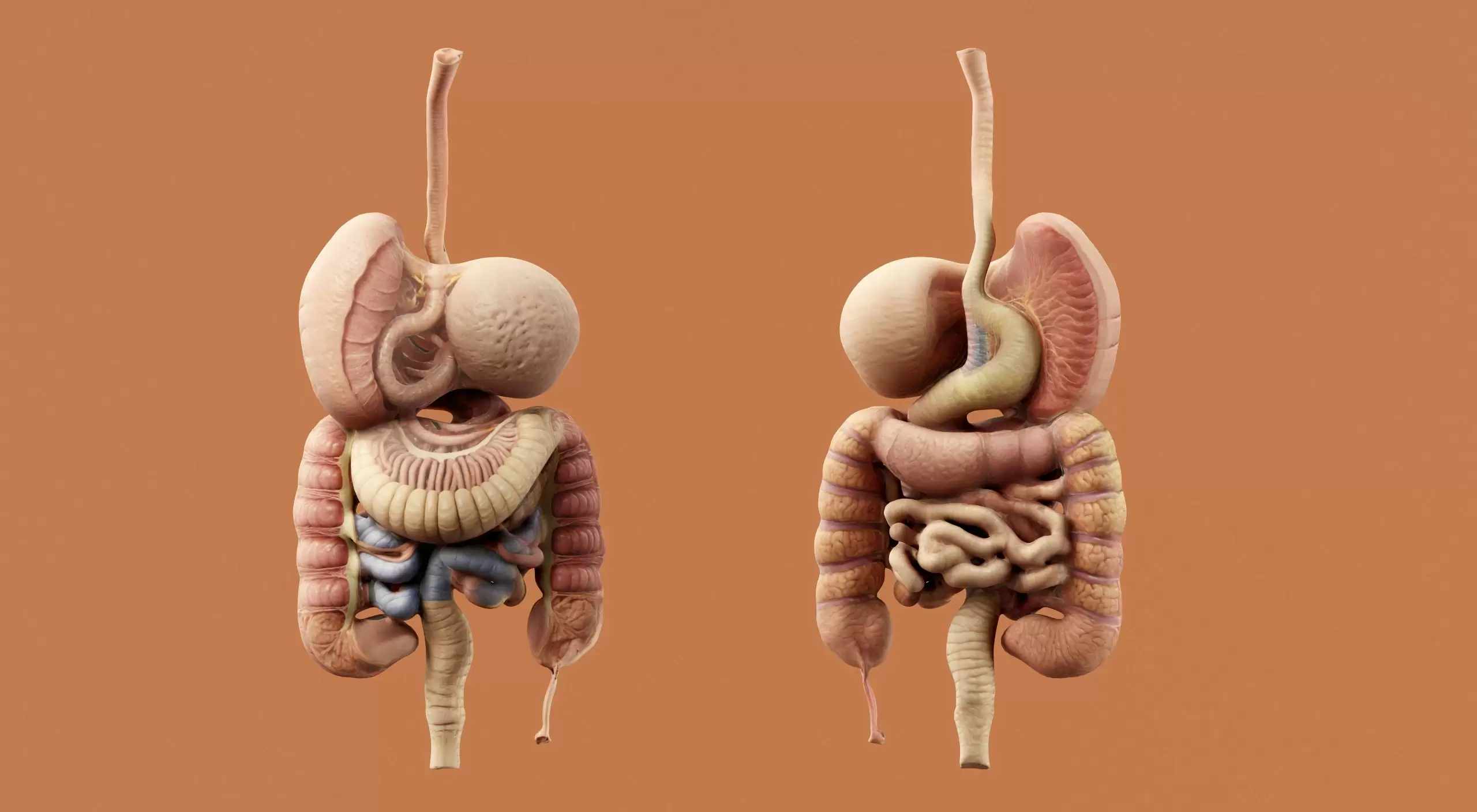 organ nakli 150 yil yasam scaled