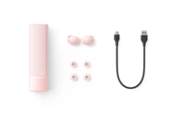 Anker Soundcore A30i 4