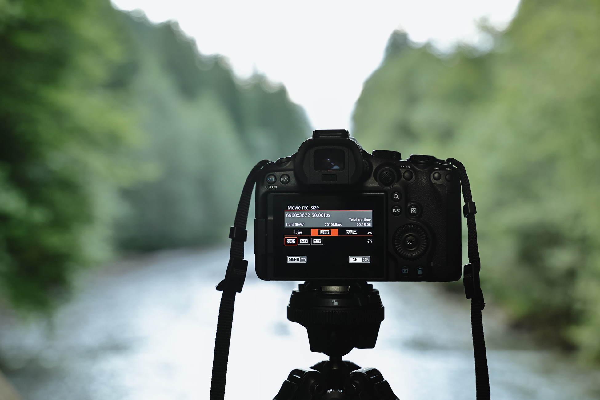 canon EOS R6 Mark III 2