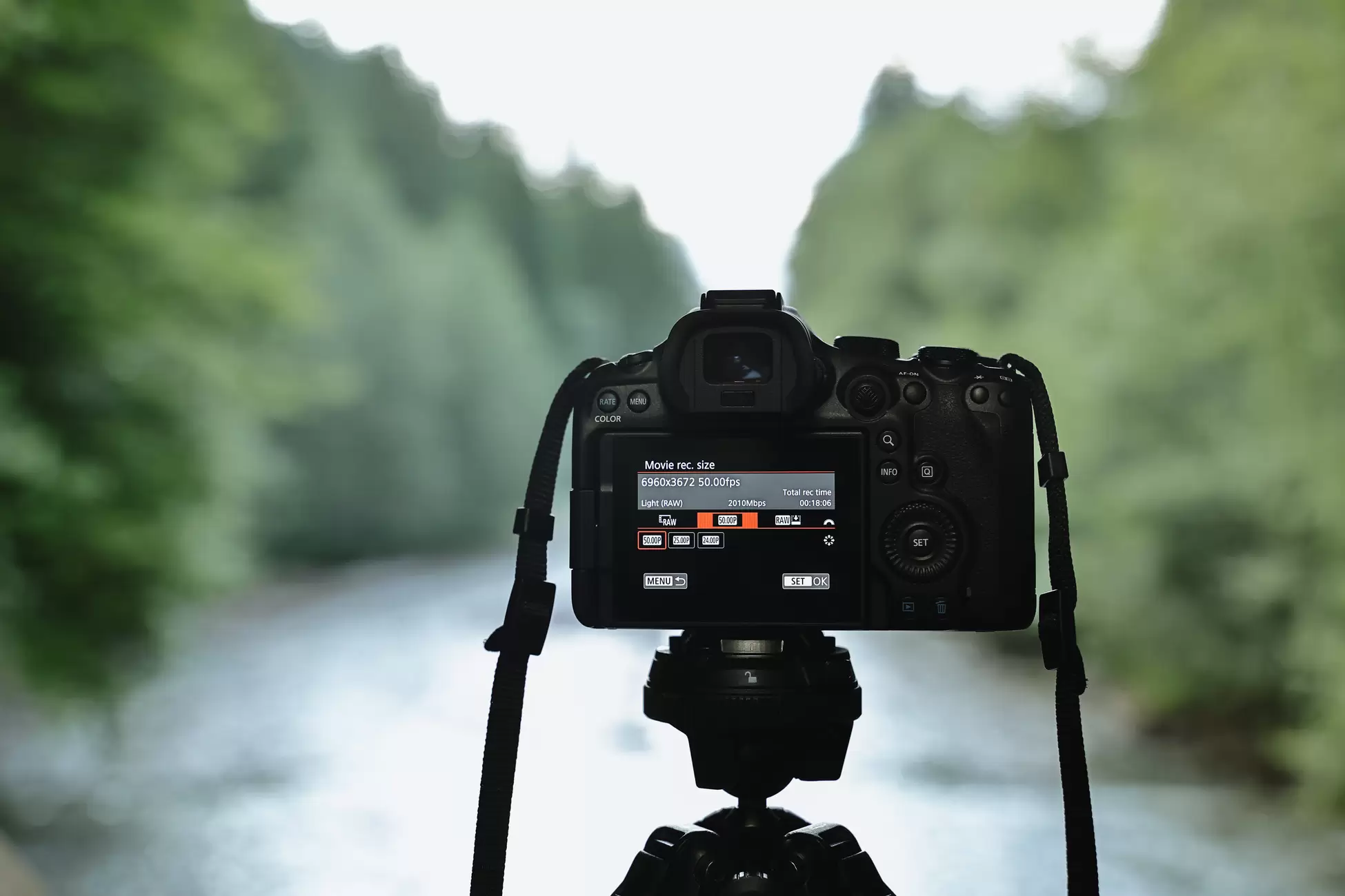 canon EOS R6 Mark III 2