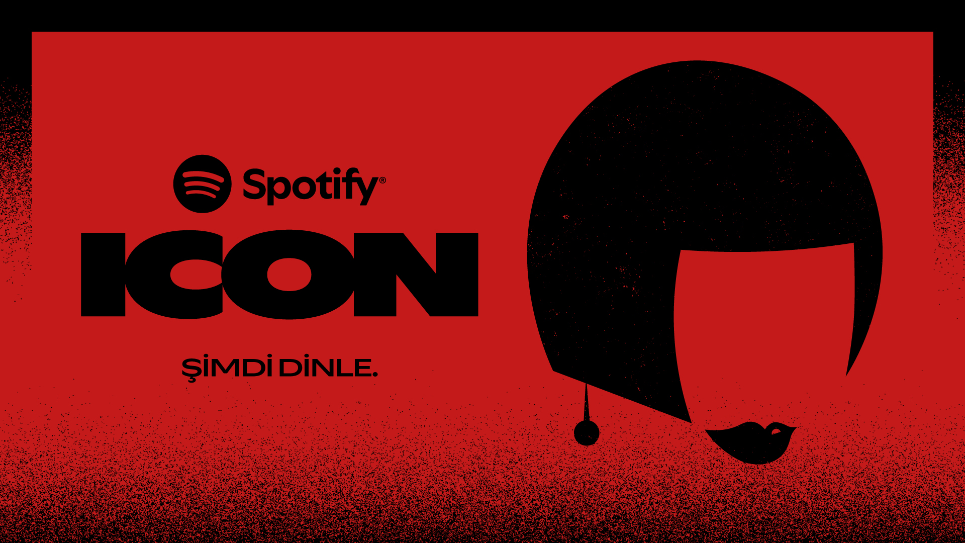 spotify turkiye icon 10
