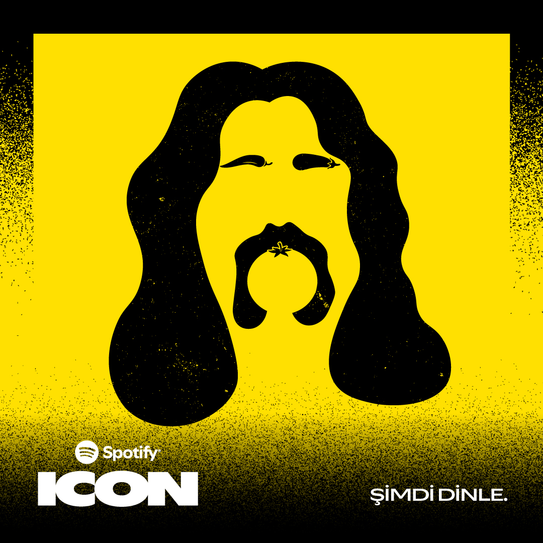 spotify turkiye icon 12