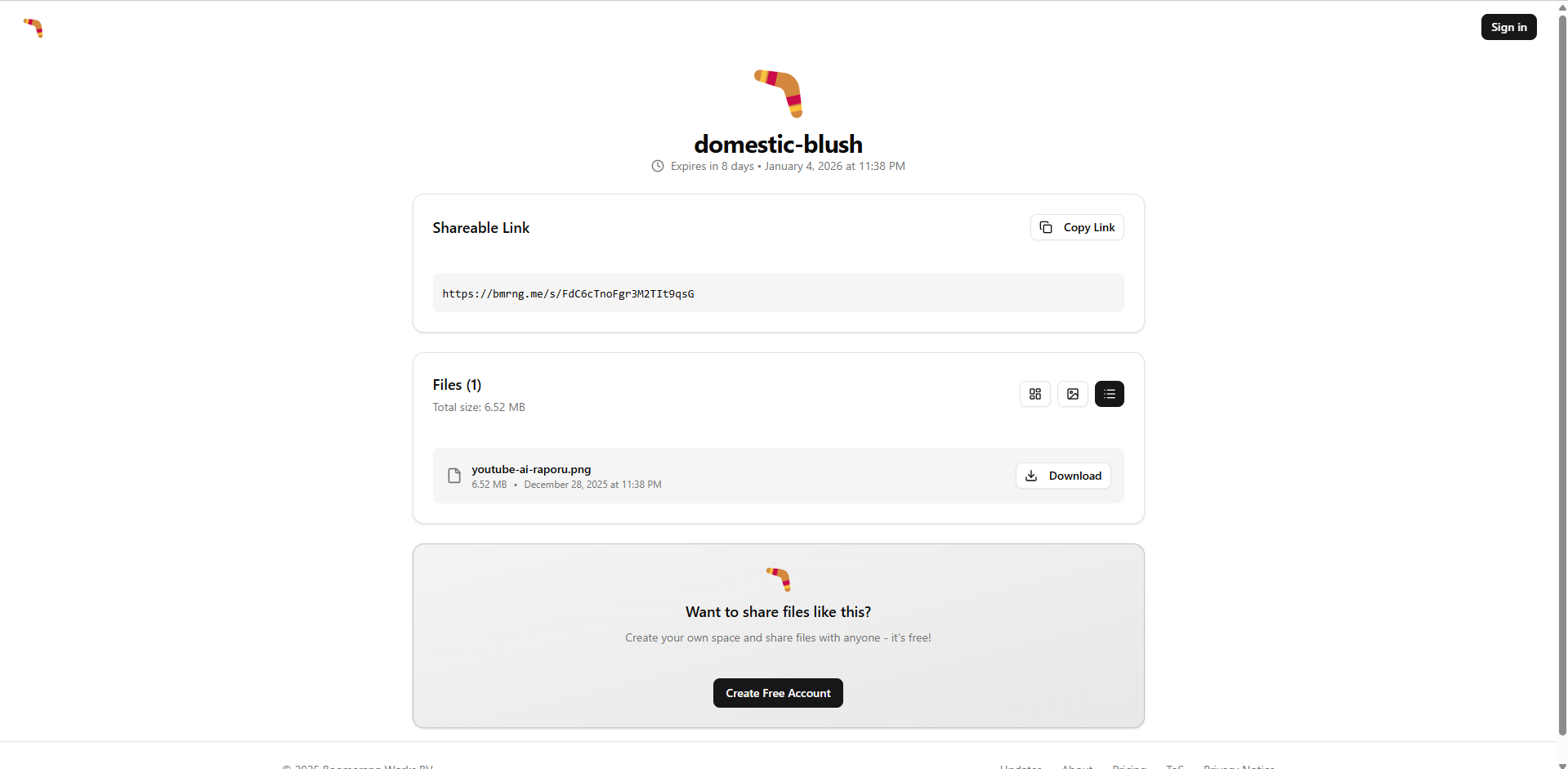 boomerang wetransfer rakibi 4